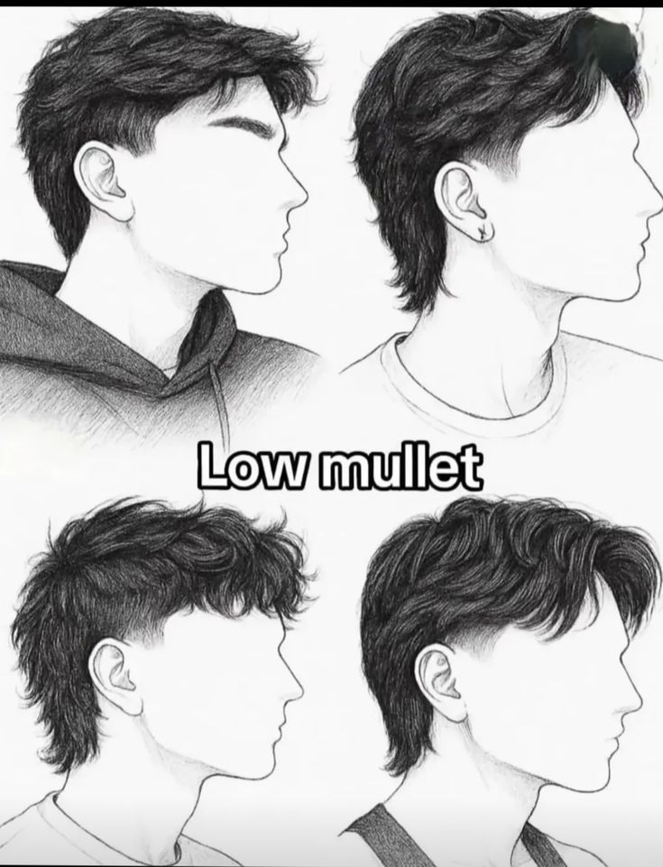 Style coupe mulet homme